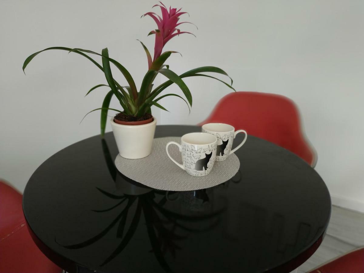 Studio Red Kot Zielona Góra Buitenkant foto