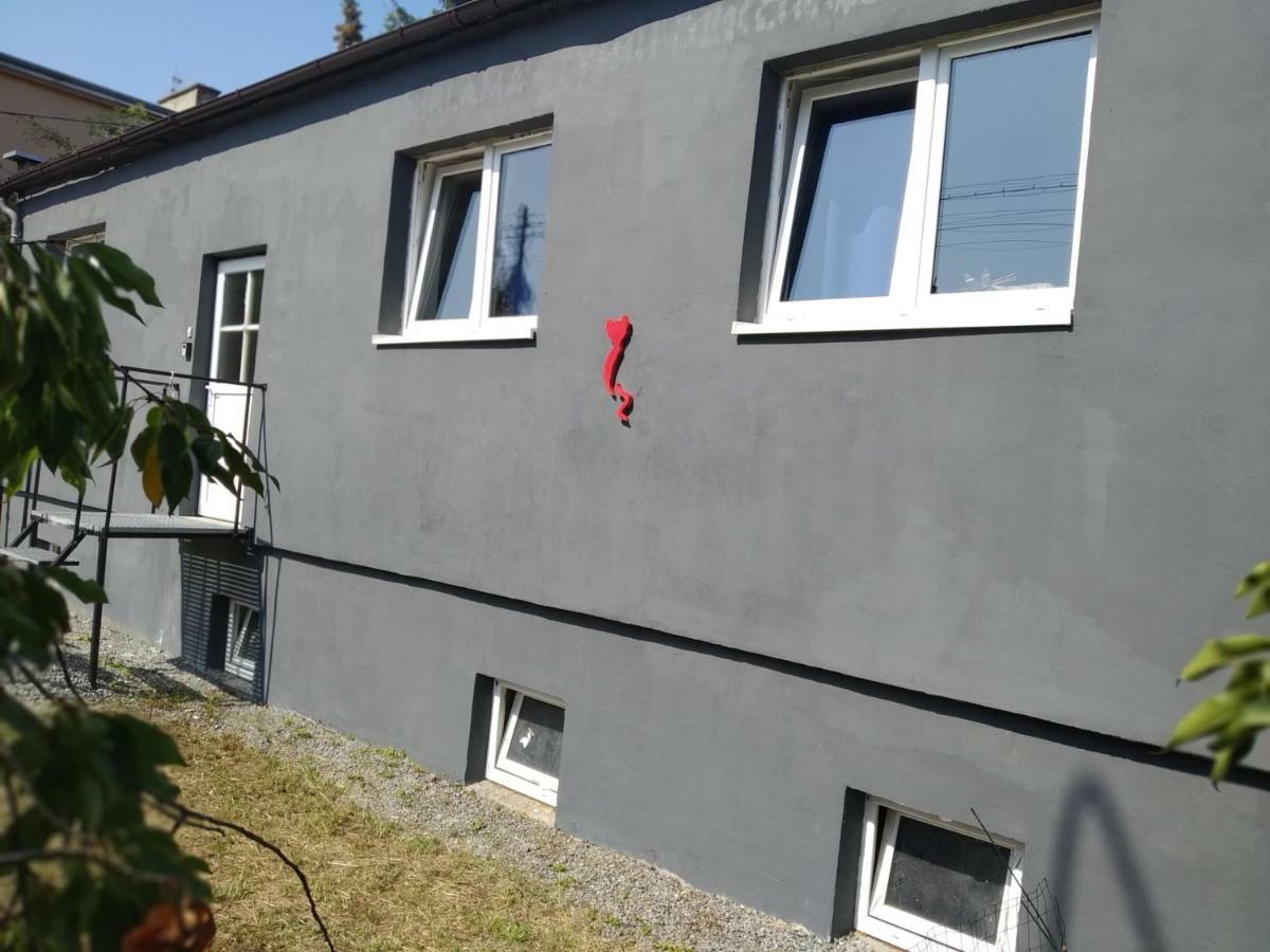 Studio Red Kot Zielona Góra Buitenkant foto